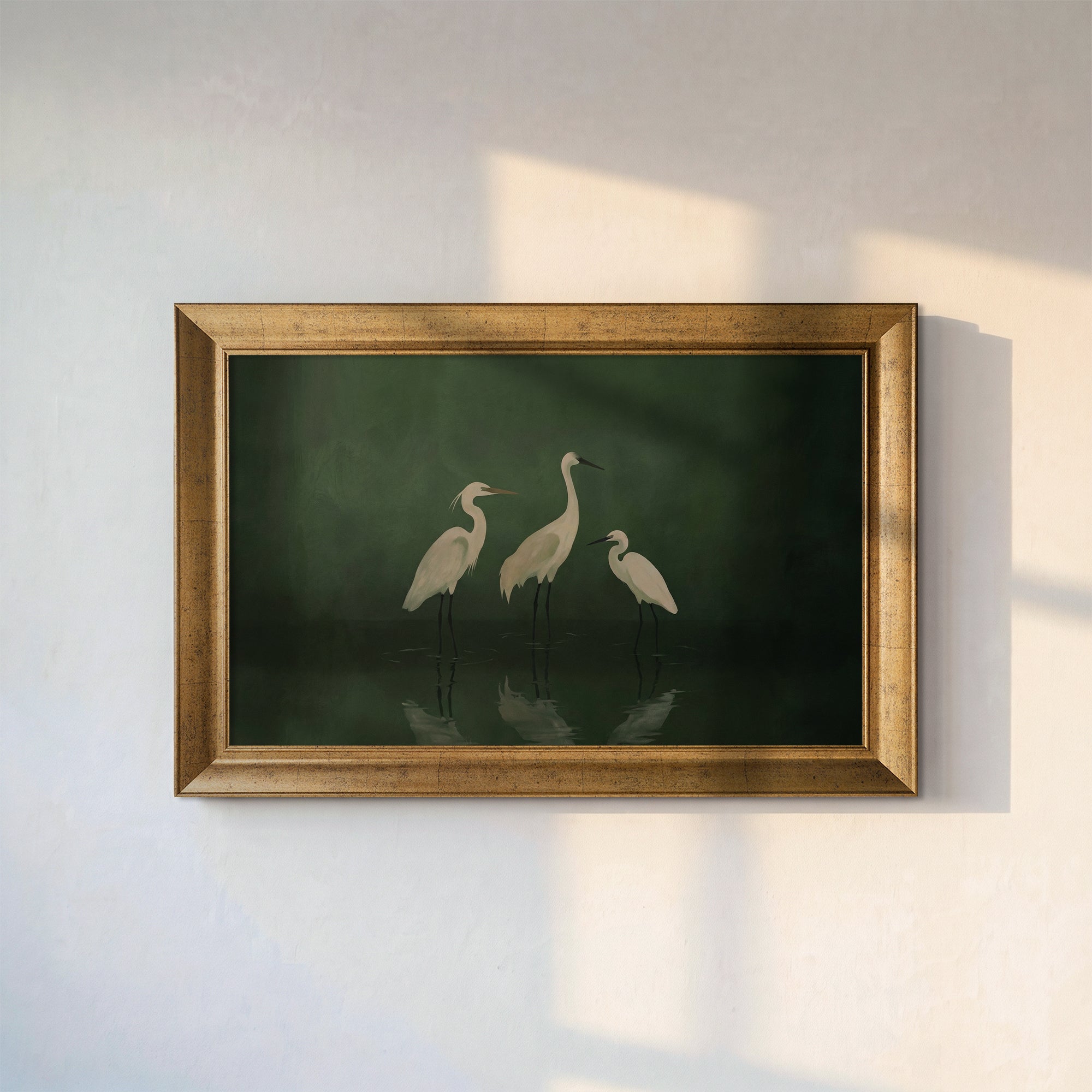 White Herons Framed Canvas Print