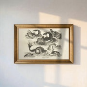 Fantastic Sea Creatures and Seahorse Print | Vintage Mythological Marine Art | Renaissance Illustration