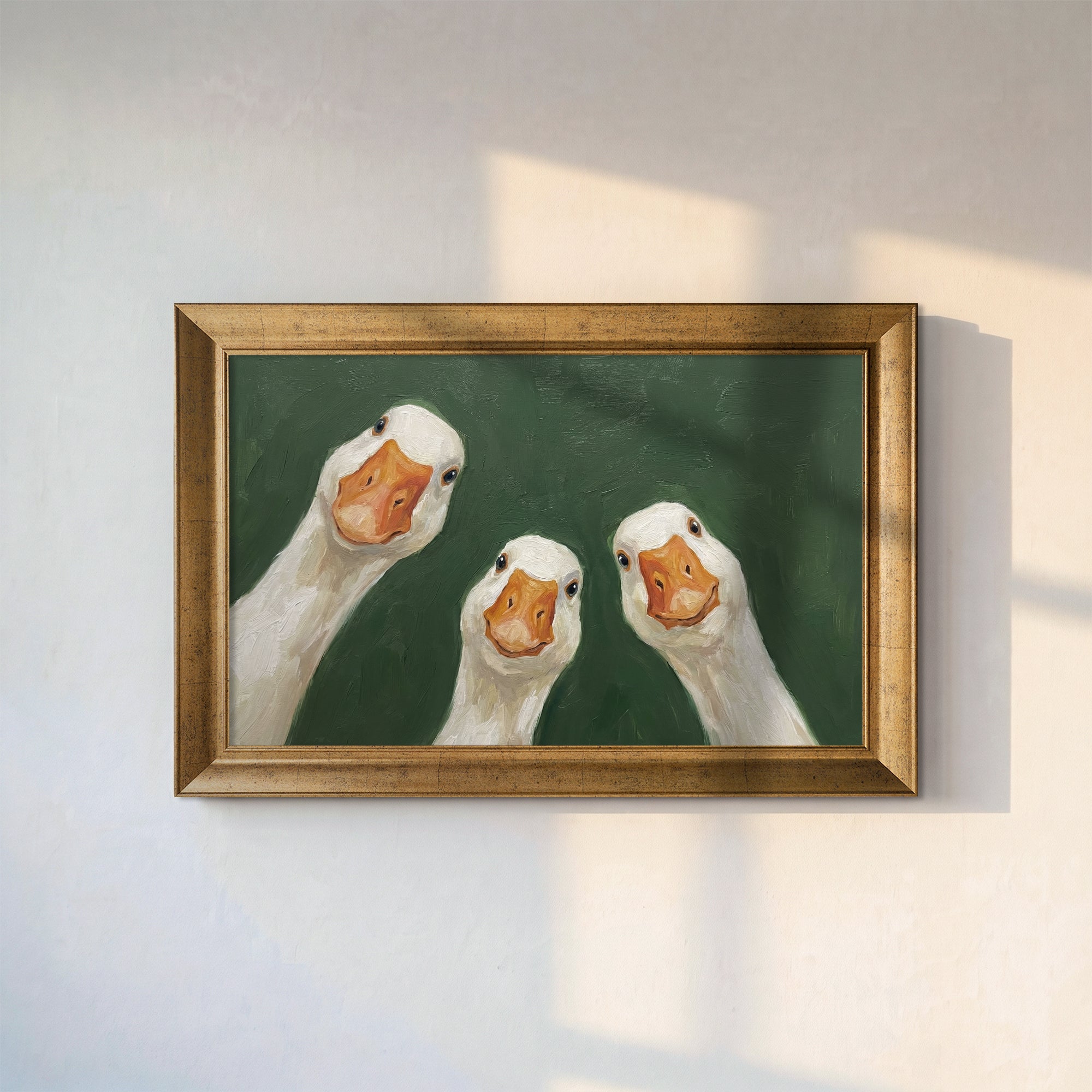 Three Curious White Geese Framed Canvas Print