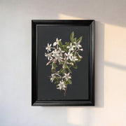 White Botanical Flowers Canvas Wall Art – Black Background Floral Print for Elegant Decor