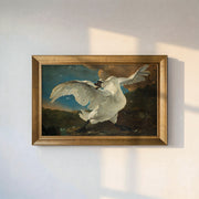 The Threatened Swan Framed Canvas Print