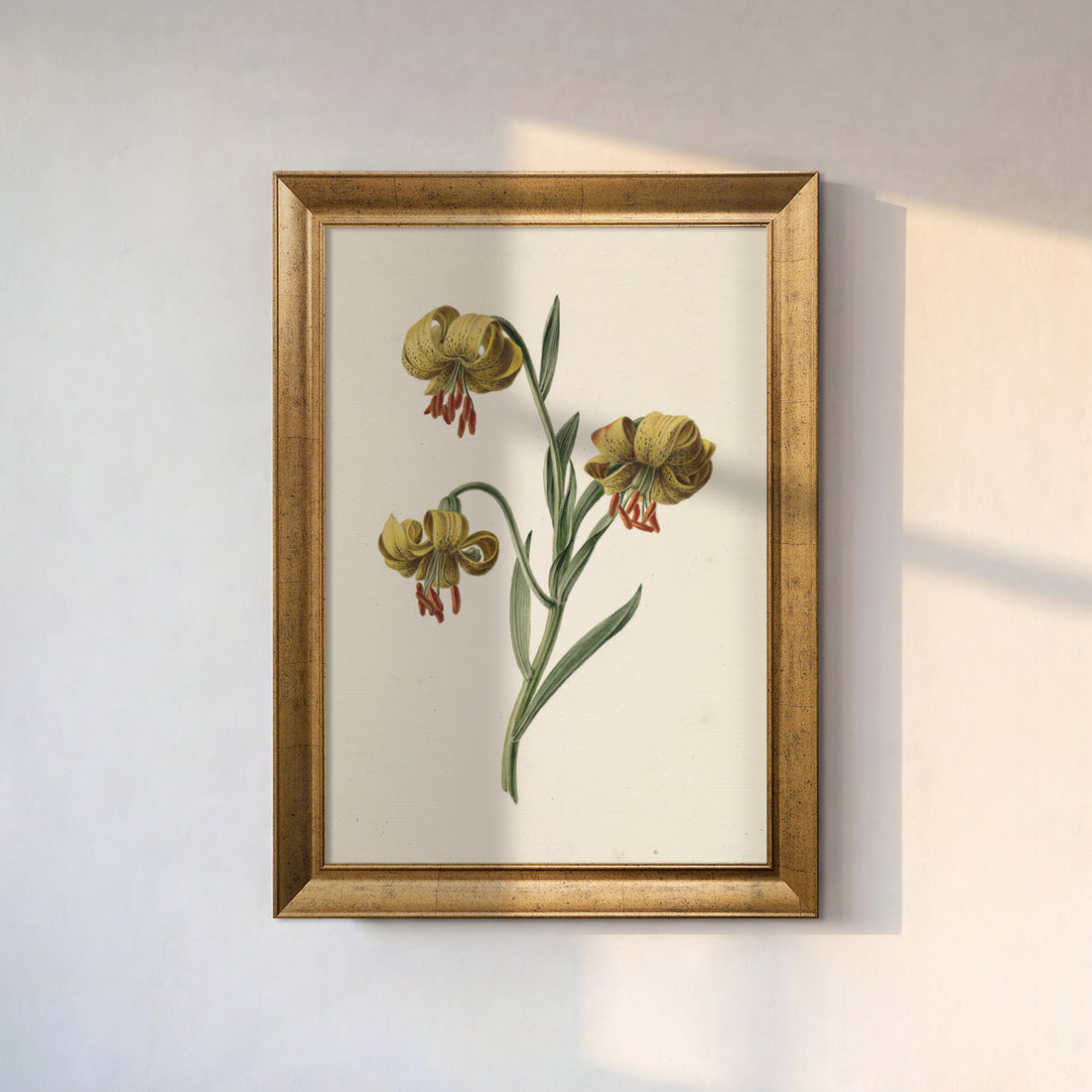 Yellow Lily Botanical canvas print in a gold frame on a sunlit white wall