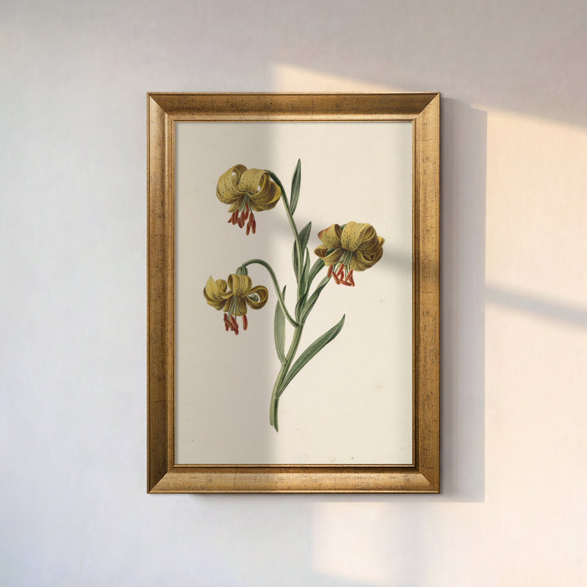 Yellow Lily Botanical Poster – Vintage Floral Decorative Wall Poster