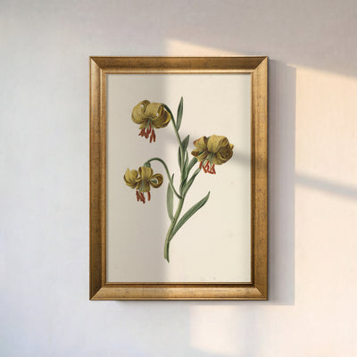 Yellow Lily Botanical Poster – Vintage Floral Decorative Wall Poster