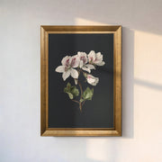 White Geranium Flower Canvas Wall Art – Dark Background Botanical Print for Elegant Decor
