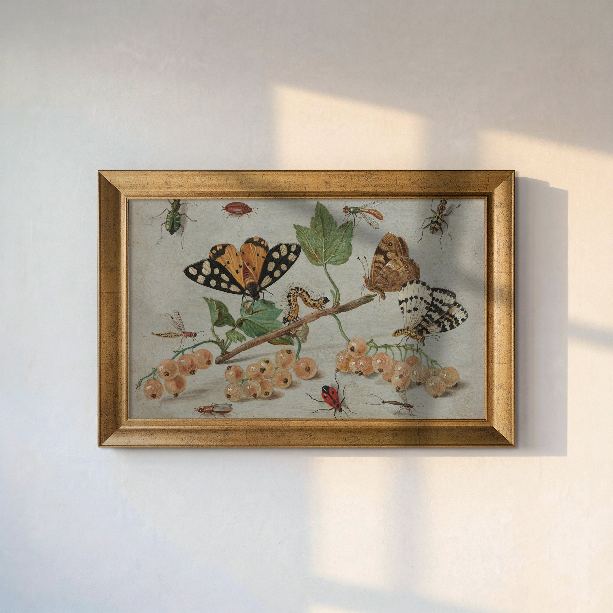 Vintage Butterfly and Insect Canvas Wall Art – Botanical Nature Illustration Print