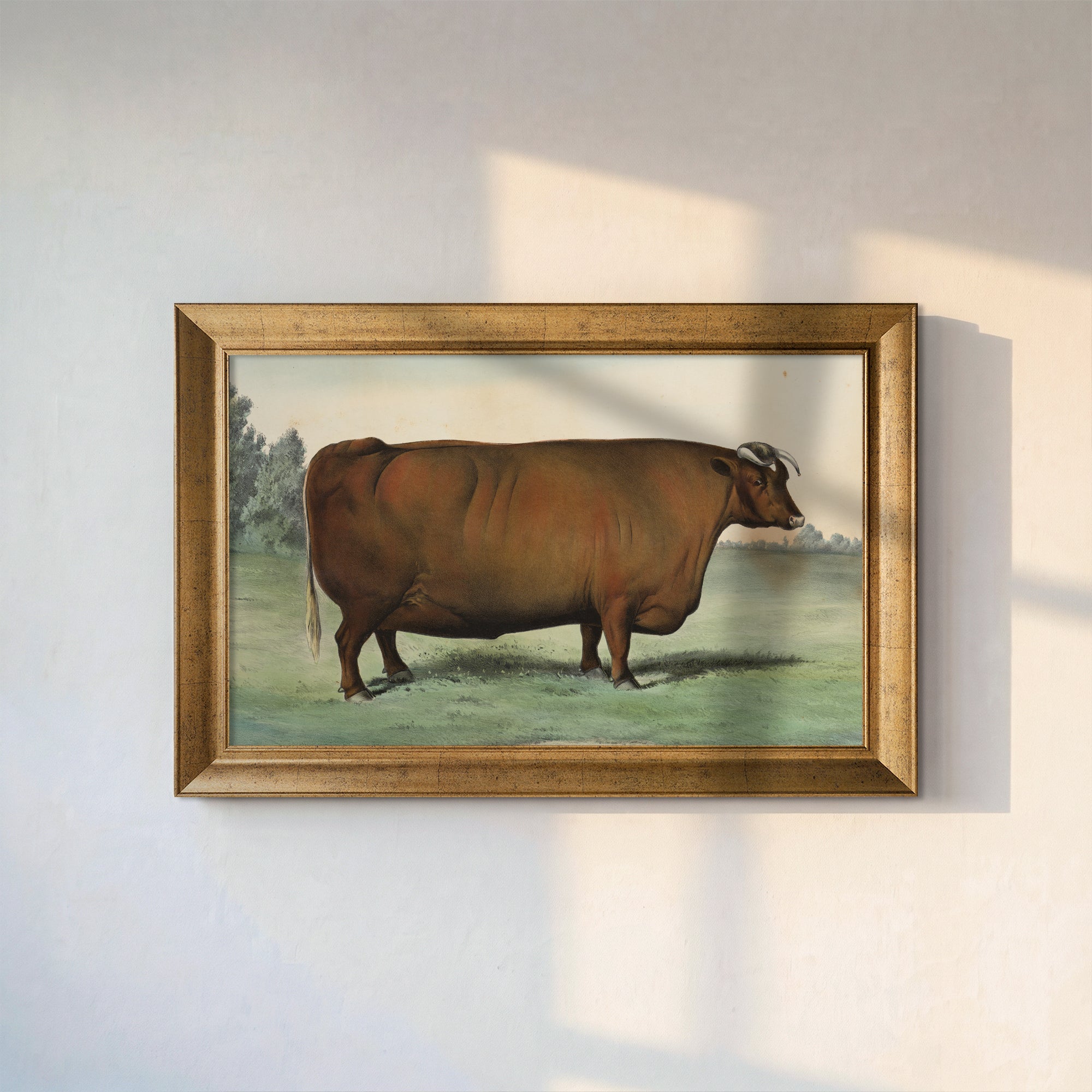 Vintage Brown Cow Canvas Wall Art – Classic Farm Animal Painting for Rustic Decor