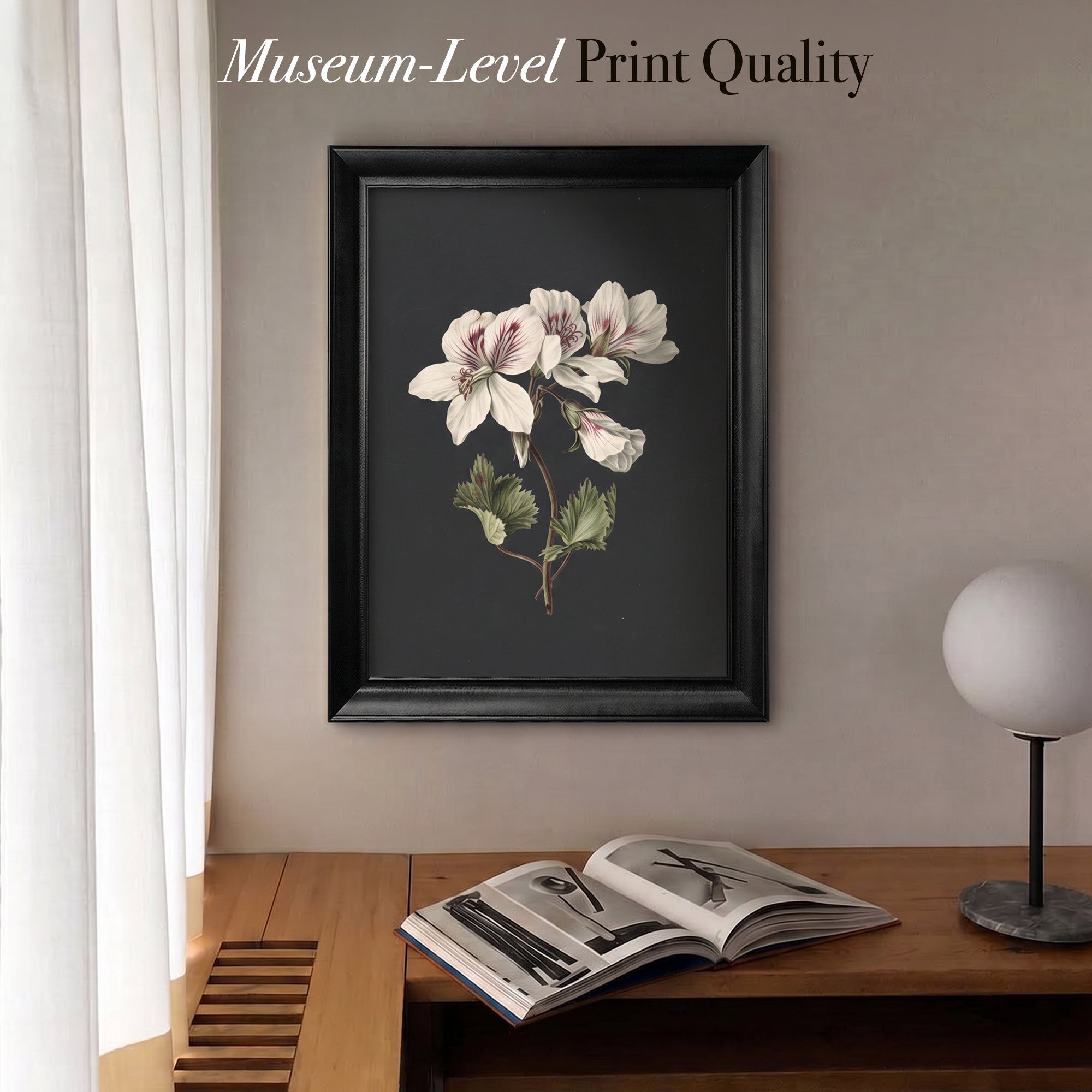 White Geranium Flower Canvas Wall Art – Dark Background Botanical Print for Elegant Decor