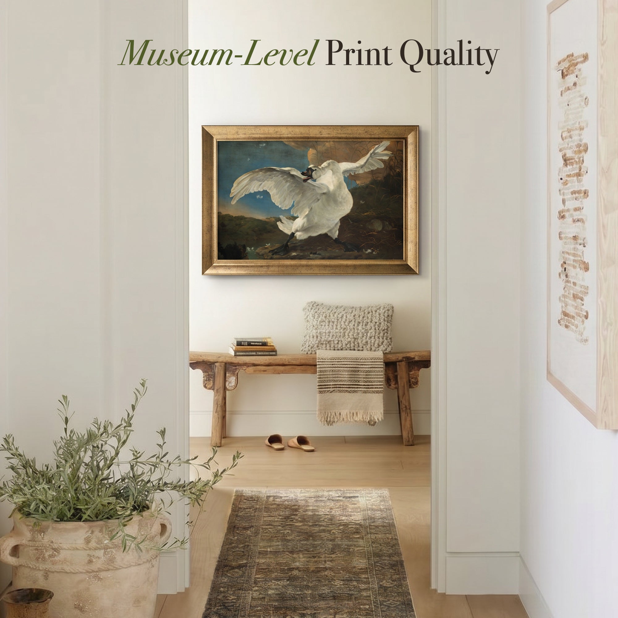 The Threatened Swan Framed Canvas Print