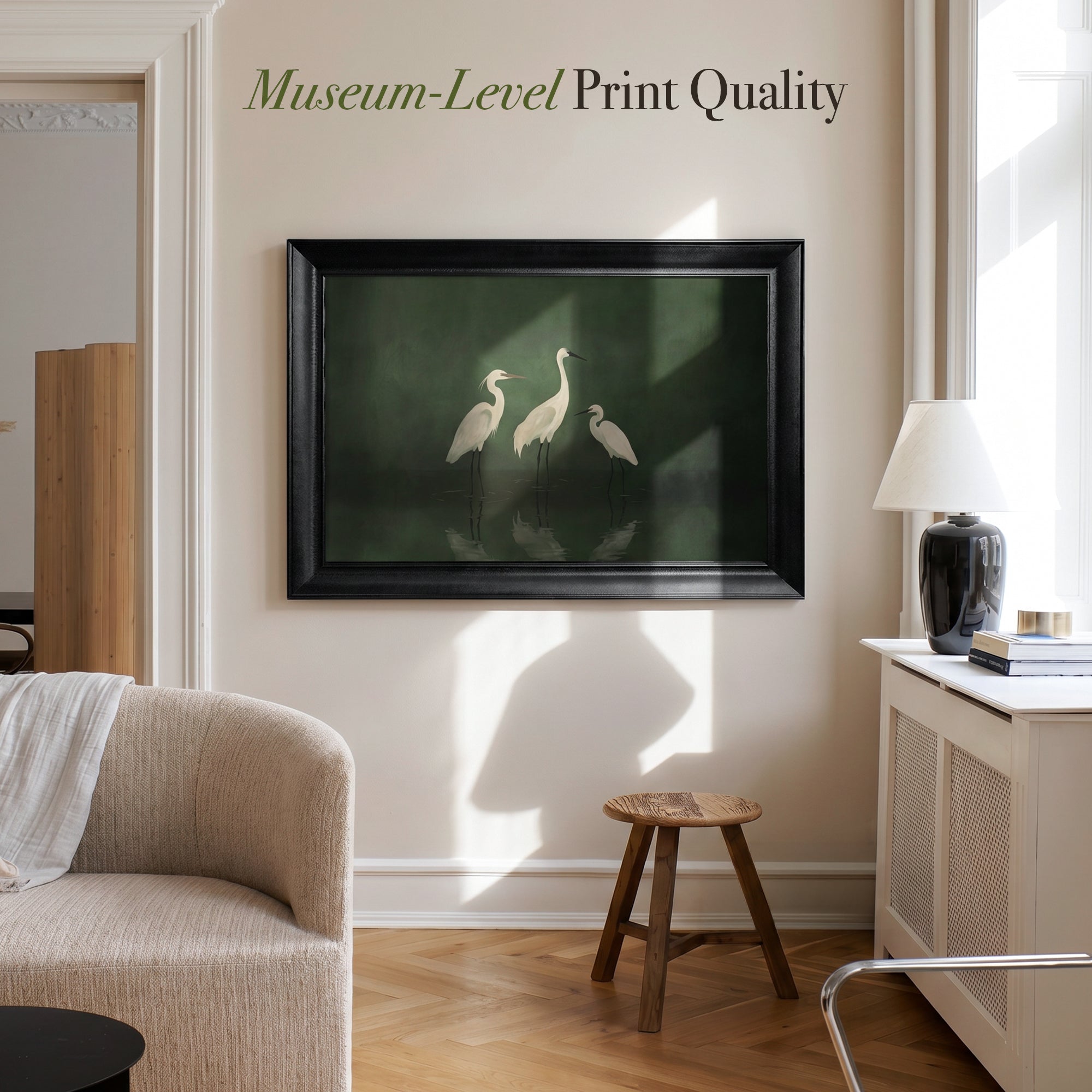 White Herons Framed Canvas Print