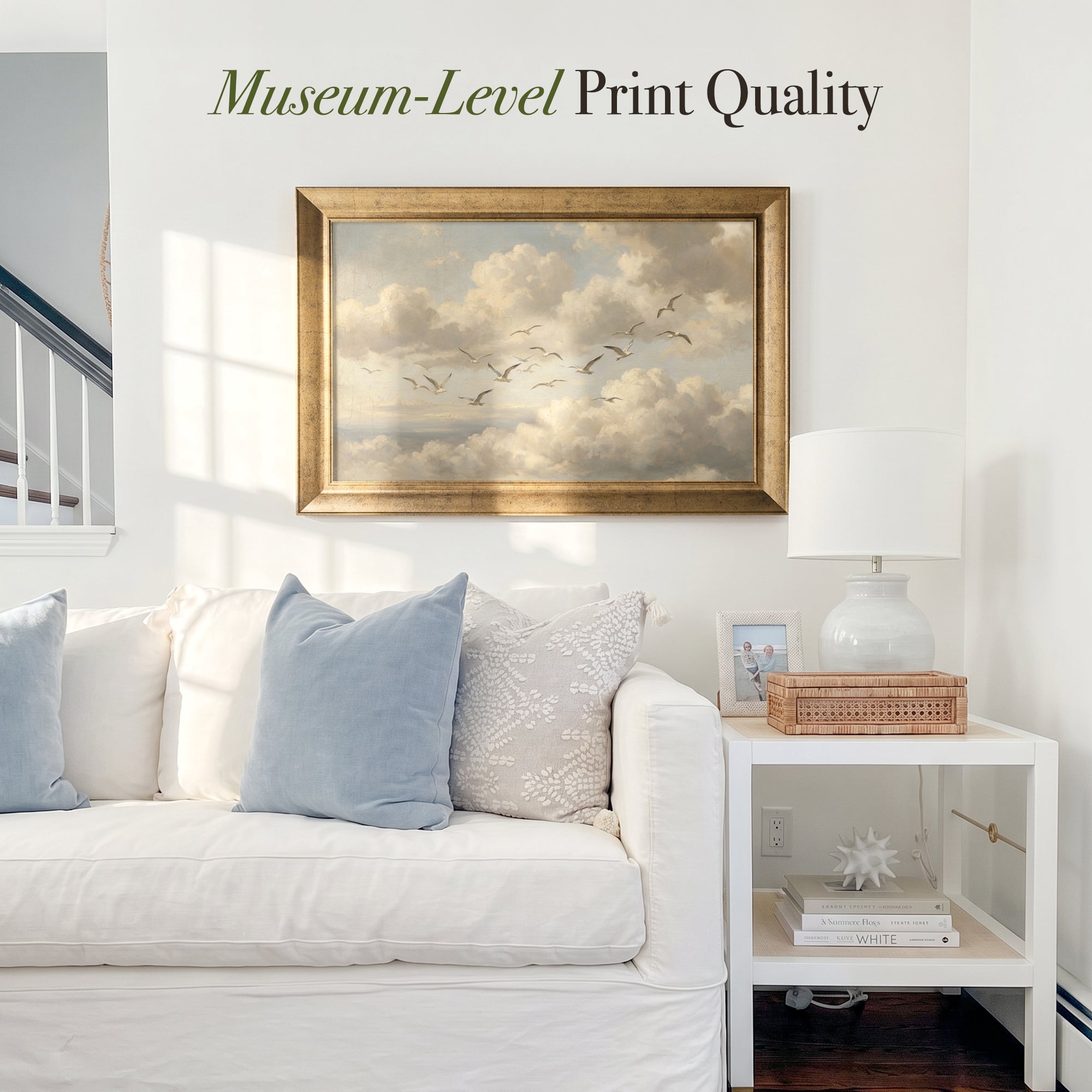 Clouds and Flying Seagulls Framed Canvas Print