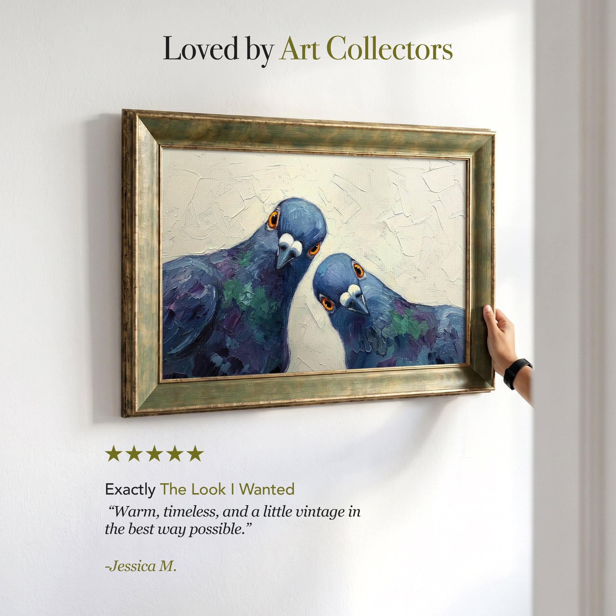 Curious Pigeons Framed Canvas Print