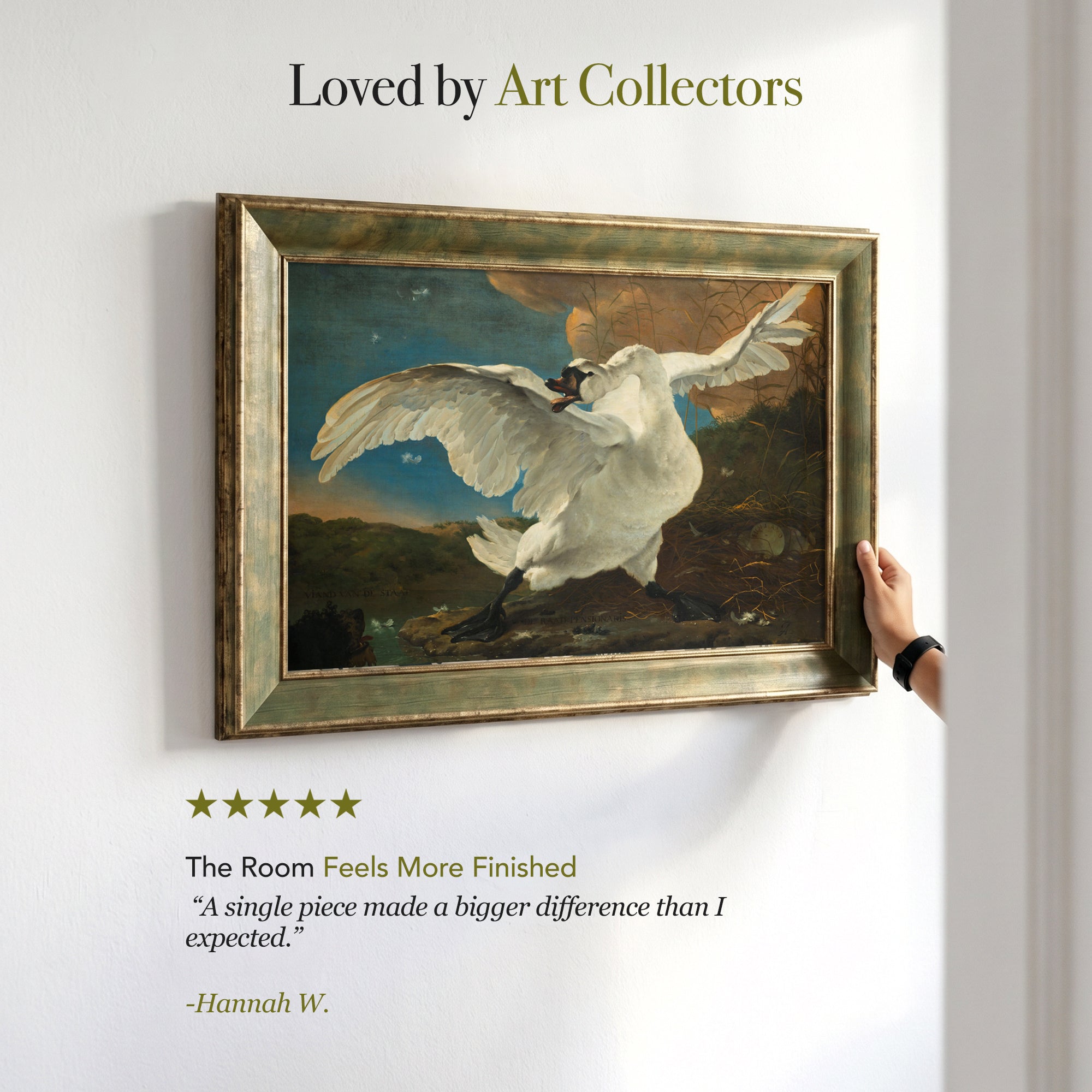 The Threatened Swan Framed Canvas Print