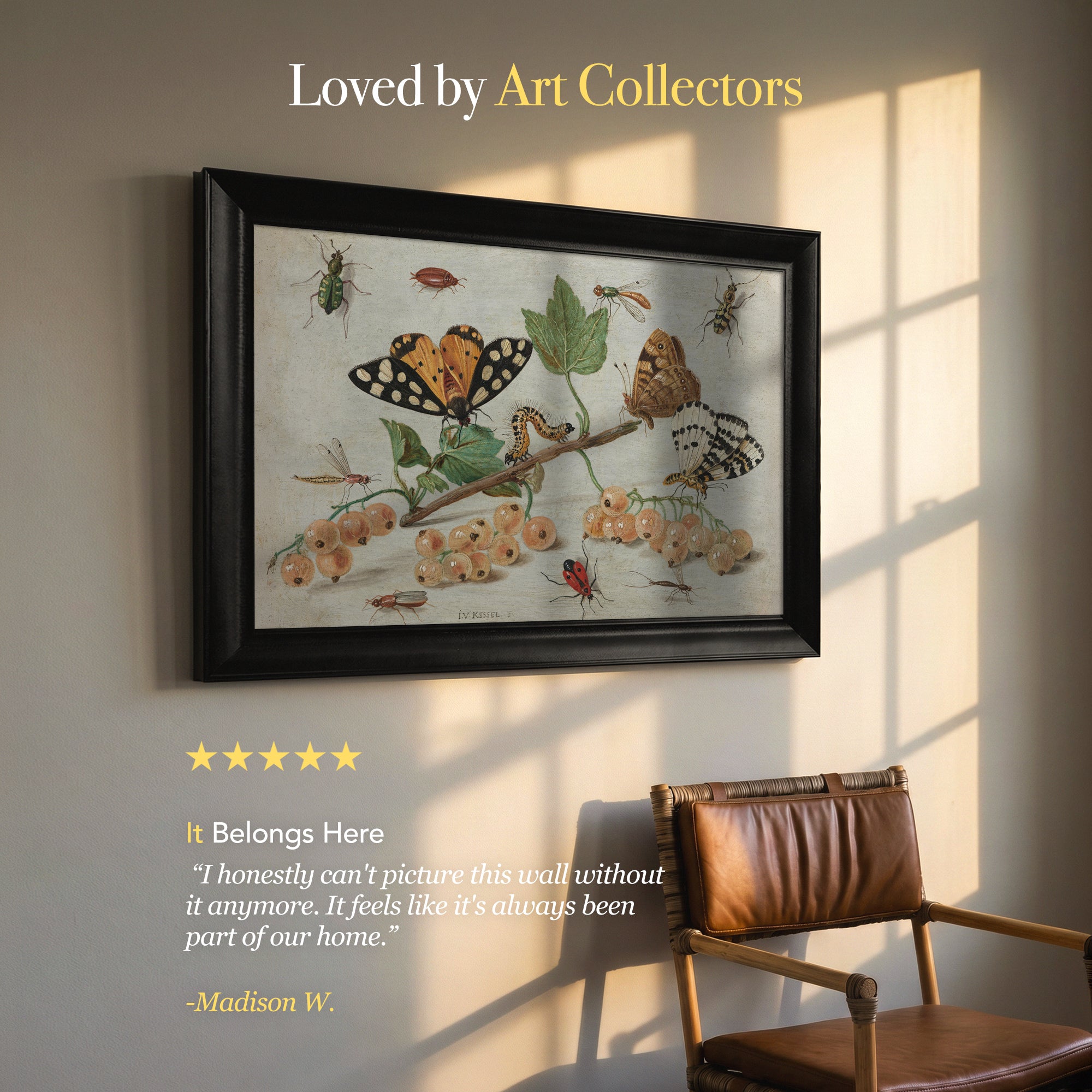 Vintage Butterfly and Insect Canvas Wall Art – Botanical Nature Illustration Print