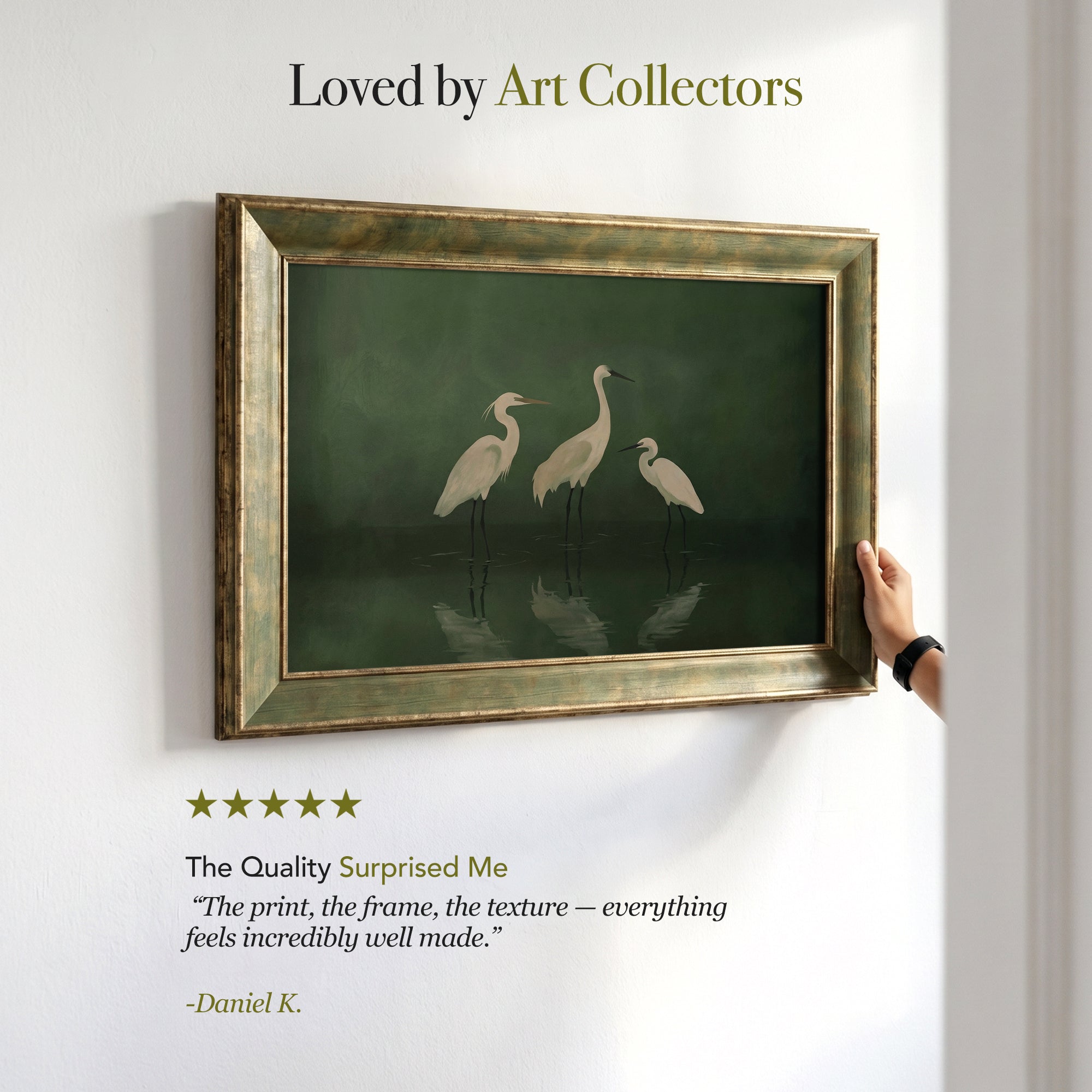 White Herons Framed Canvas Print