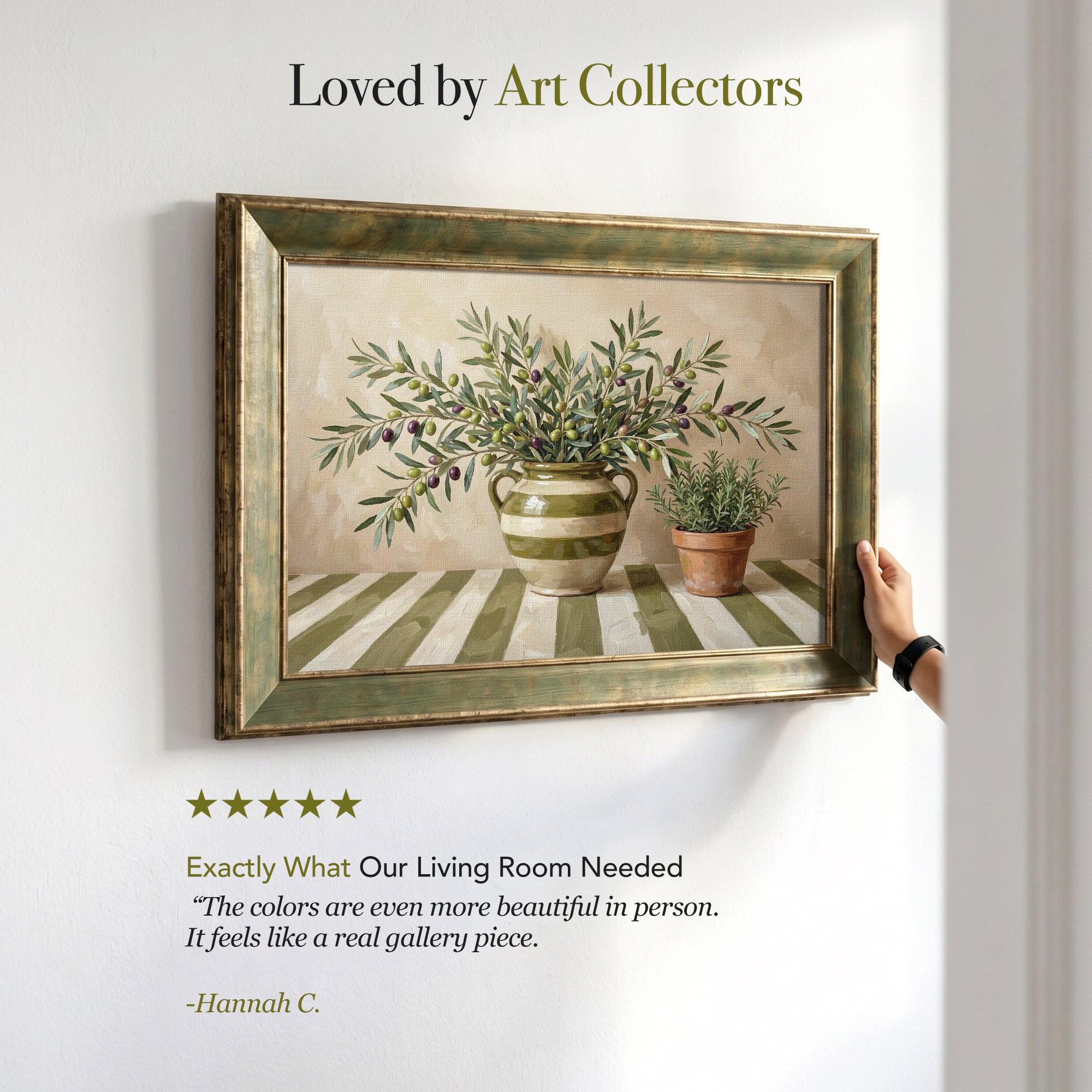 Olive Branches and Striped Vase Framed Canvas Print