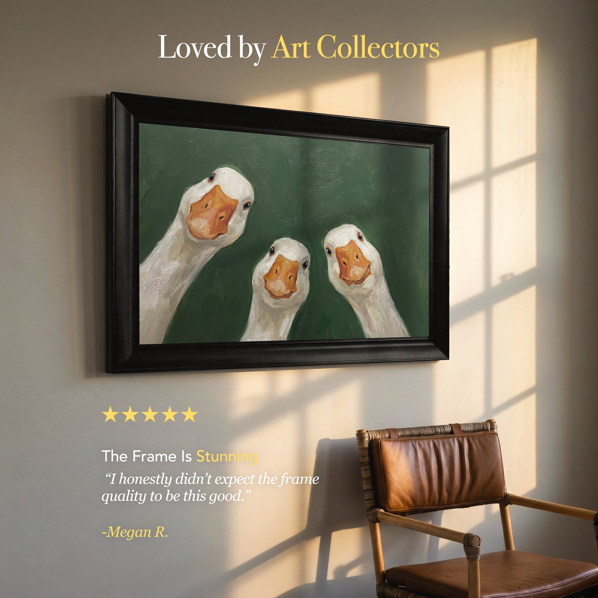 Three Curious White Geese Framed Canvas Print