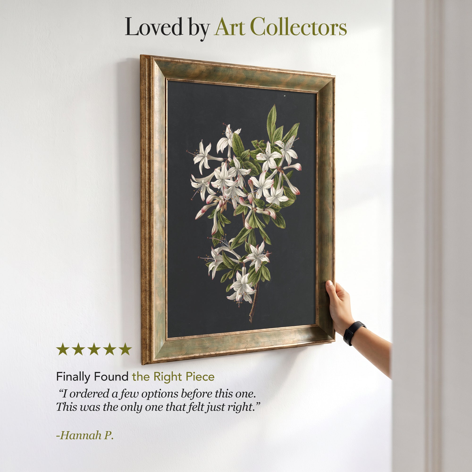 White Botanical Flowers Canvas Wall Art – Black Background Floral Print for Elegant Decor