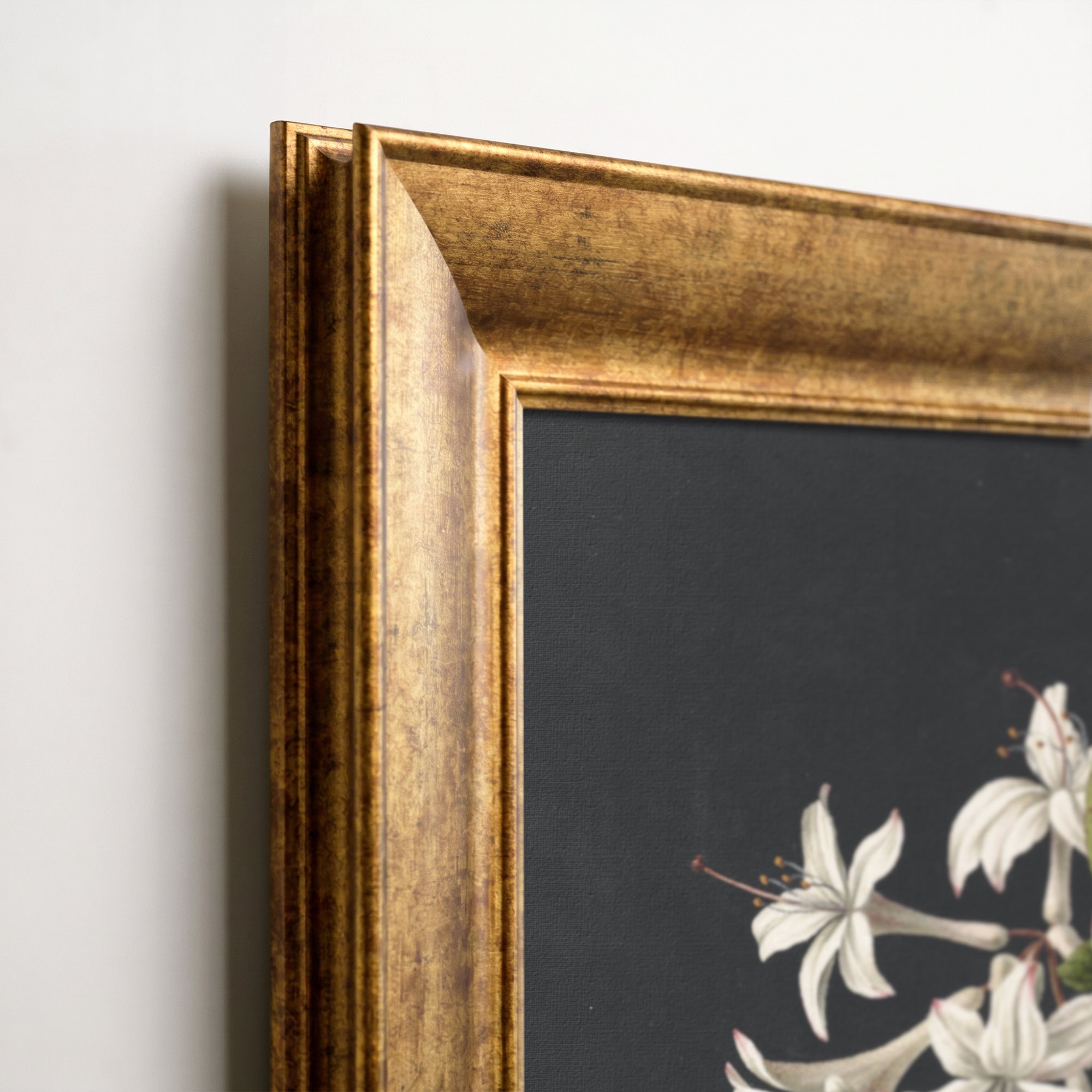 White Botanical Flowers Canvas Wall Art – Black Background Floral Print for Elegant Decor