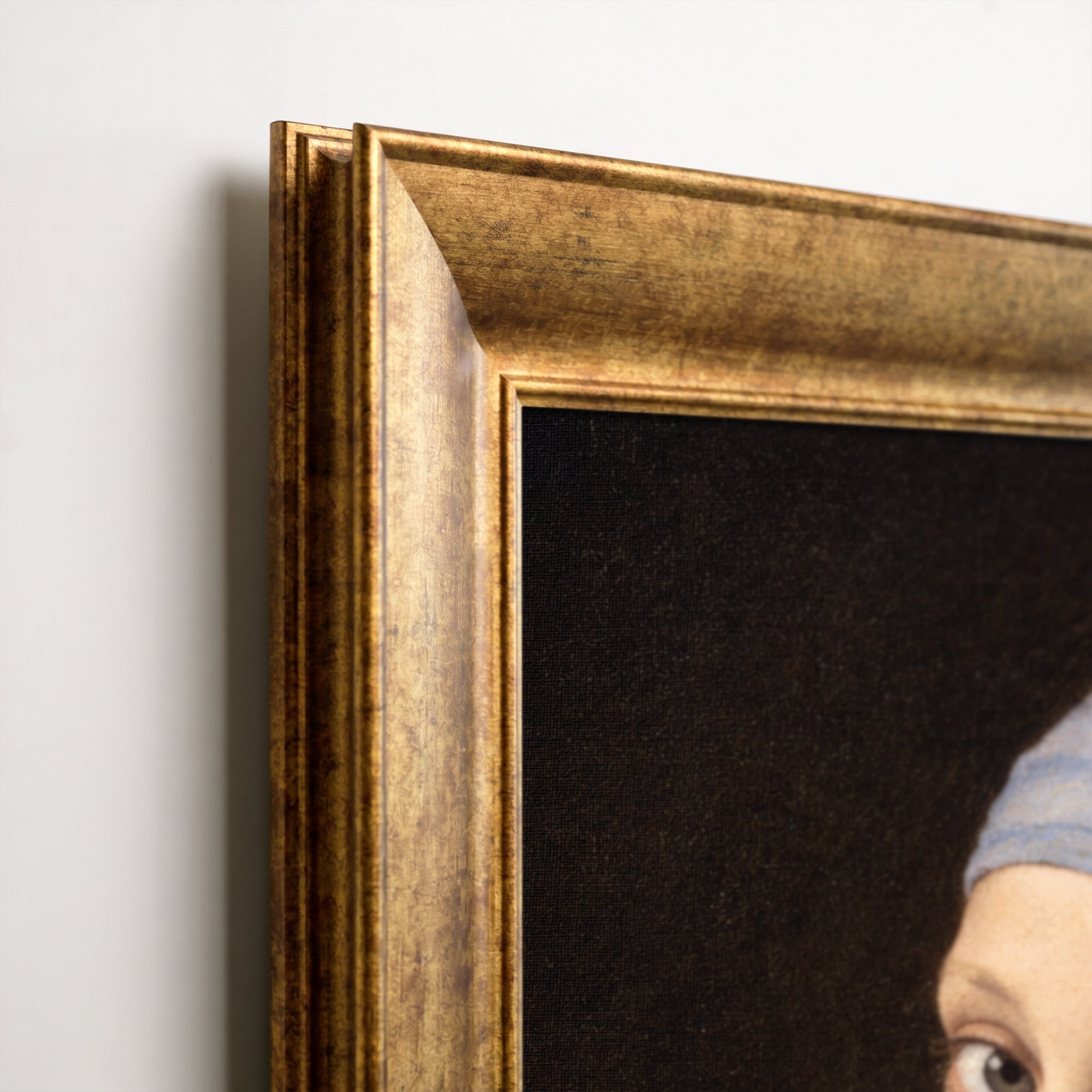 "WHO CARES" Girl with a Pearl Earring Framed Canvas Print