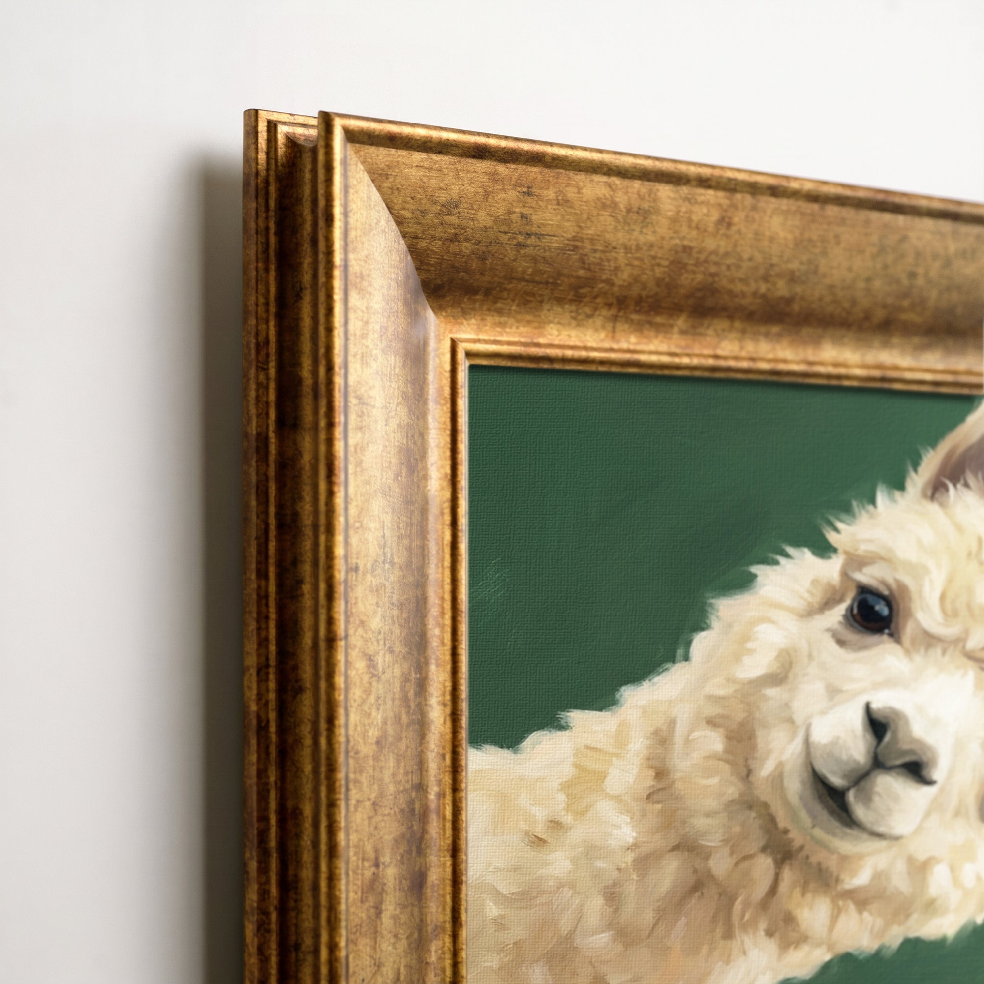 Two Curious Alpacas Framed Canvas Print